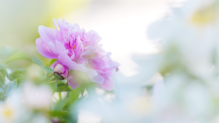 1588644811704845.png 微信圖片_20200505100957.png